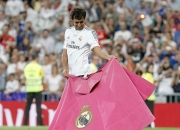 B体育体育地址-欧洲传奇运动员再度出征，豪取冠军！