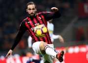 B体育体育电竞-包含荷兰击剑队斩获金牌，期待更多胜利的词条