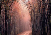 B体育体育投注-布赖顿失利雪上加霜，降级危机形势愈发严峻