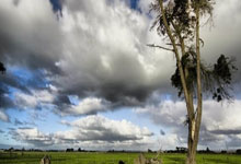 B体育体育入口-集体表现！法兰克福主场大胜，豪取胜利