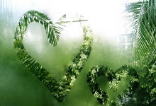 B体育体育app下载-美国女足擒日本，挺进奥运四强：激战背后的精彩瞬间与未来展望