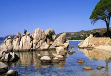 B体育体育app下载-美国女足擒日本，挺进奥运四强：激战背后的精彩瞬间与未来展望