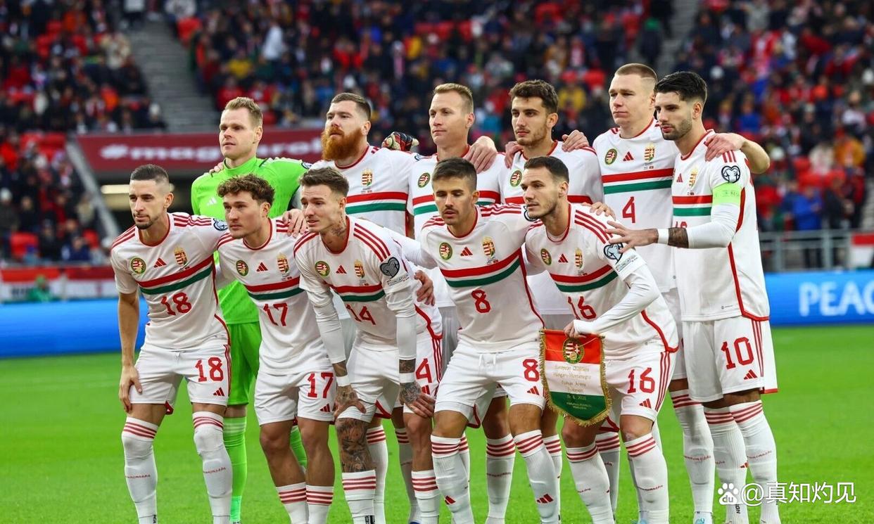 关于匈牙利客场不敌威尔士,出线希望不容乐观的信息 关于匈牙利客场不敌威尔士,出线希望不容乐观的信息